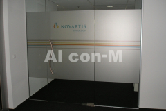 11-Staklena-zaokretna-vrata